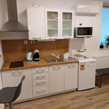 Apartmán Alexandra Celje