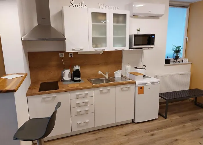 Apartmán Alexandra Celje